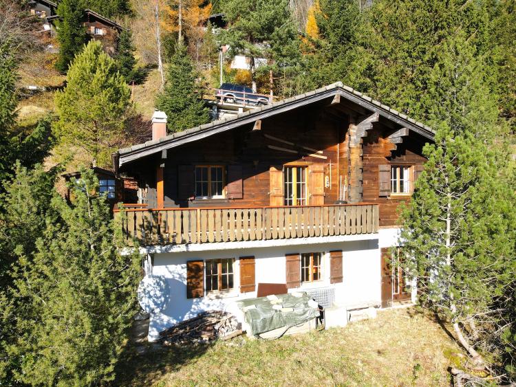 4mN6b_vue_du_chalet_3.jpg