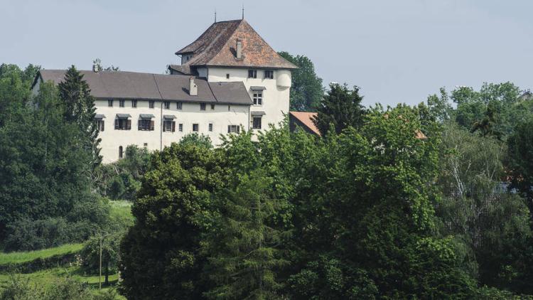 8HSHn_chateau_attalens_-_copyright_eddy_mottaz_-_le_temps.jpg