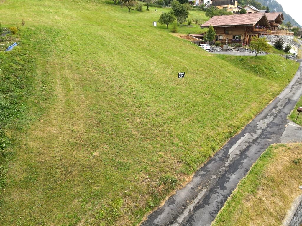 swPl5_terrain_8m.jpg